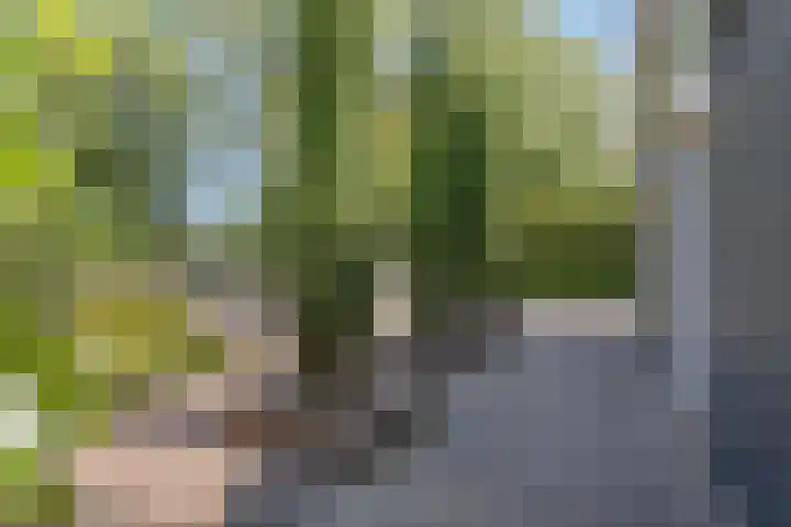 Welgelegenweg 9 Vaassen thumbnail 58