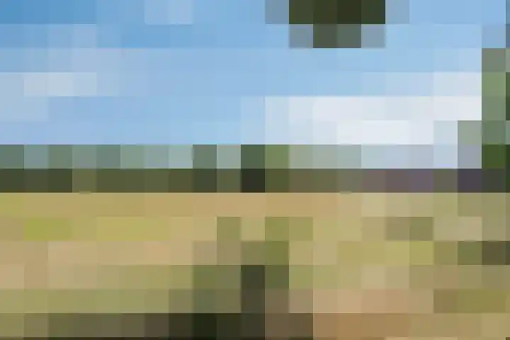 Welgelegenweg 9 Vaassen thumbnail 60