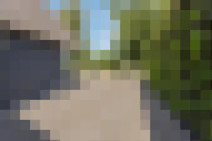 Welgelegenweg 9 Vaassen thumbnail 7