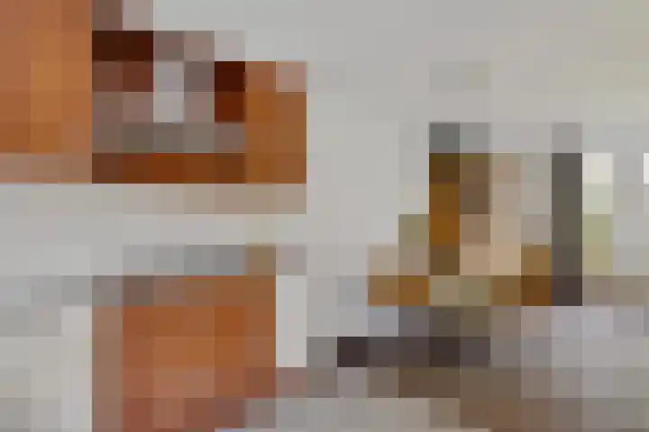 Welhaak 16 Oosterhesselen thumbnail 10