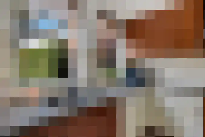 Welhaak 16 Oosterhesselen thumbnail 11