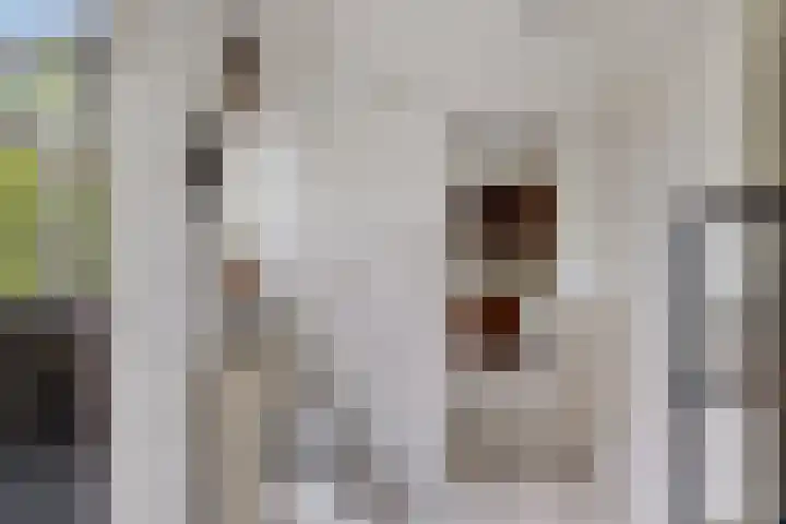 Welhaak 16 Oosterhesselen thumbnail 12
