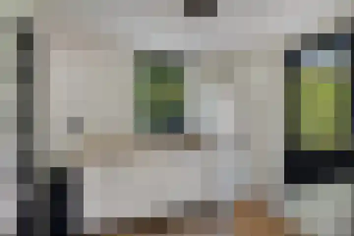 Welhaak 16 Oosterhesselen thumbnail 15