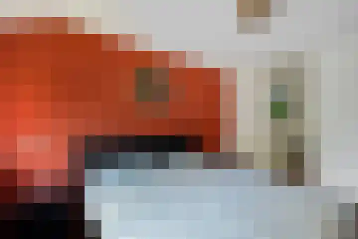 Welhaak 16 Oosterhesselen thumbnail 23