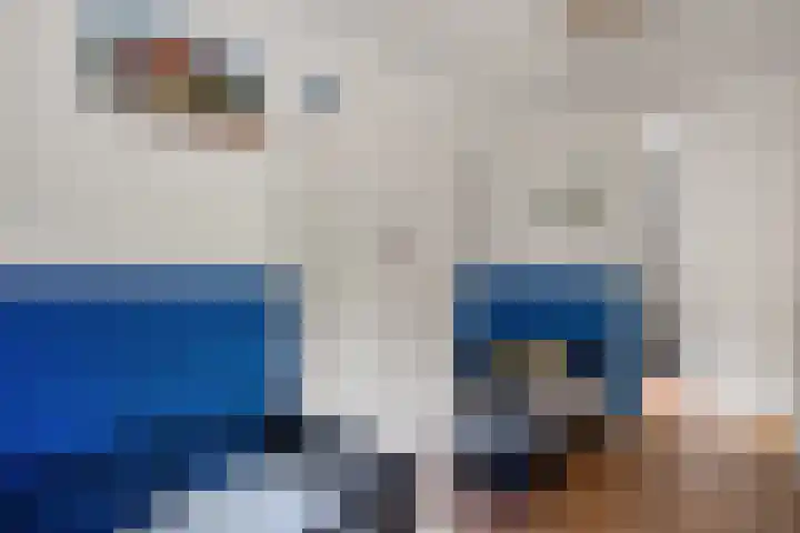 Welhaak 16 Oosterhesselen thumbnail 25