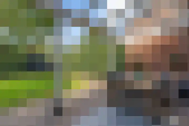 Welhaak 16 Oosterhesselen thumbnail 29
