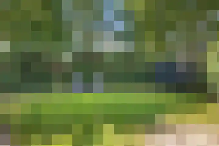 Welhaak 16 Oosterhesselen thumbnail 30