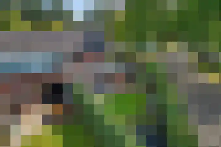 Welhaak 16 Oosterhesselen thumbnail 31