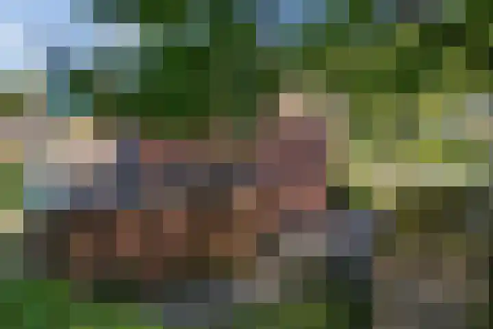 Welhaak 16 Oosterhesselen thumbnail 33