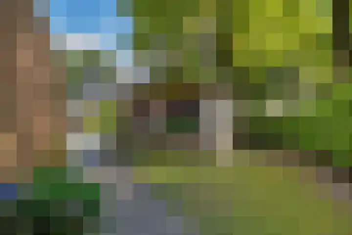 Welhaak 16 Oosterhesselen thumbnail 34