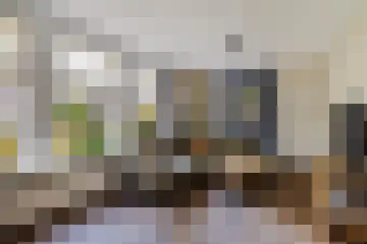 Welhaak 16 Oosterhesselen thumbnail 5