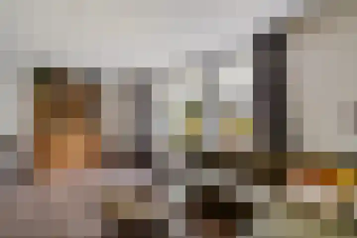 Welhaak 16 Oosterhesselen thumbnail 6