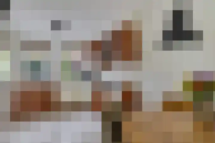 Welhaak 16 Oosterhesselen thumbnail 8