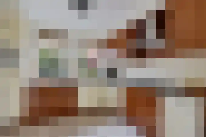 Welhaak 16 Oosterhesselen thumbnail 9