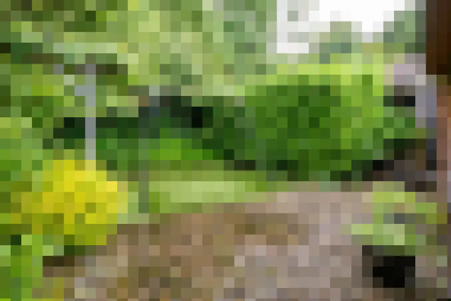 Welhaak 21 Vriezenveen thumbnail 10