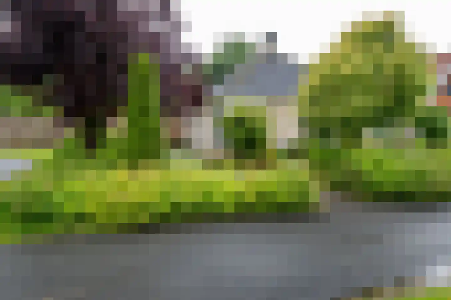 Welhaak 21 Vriezenveen thumbnail 12
