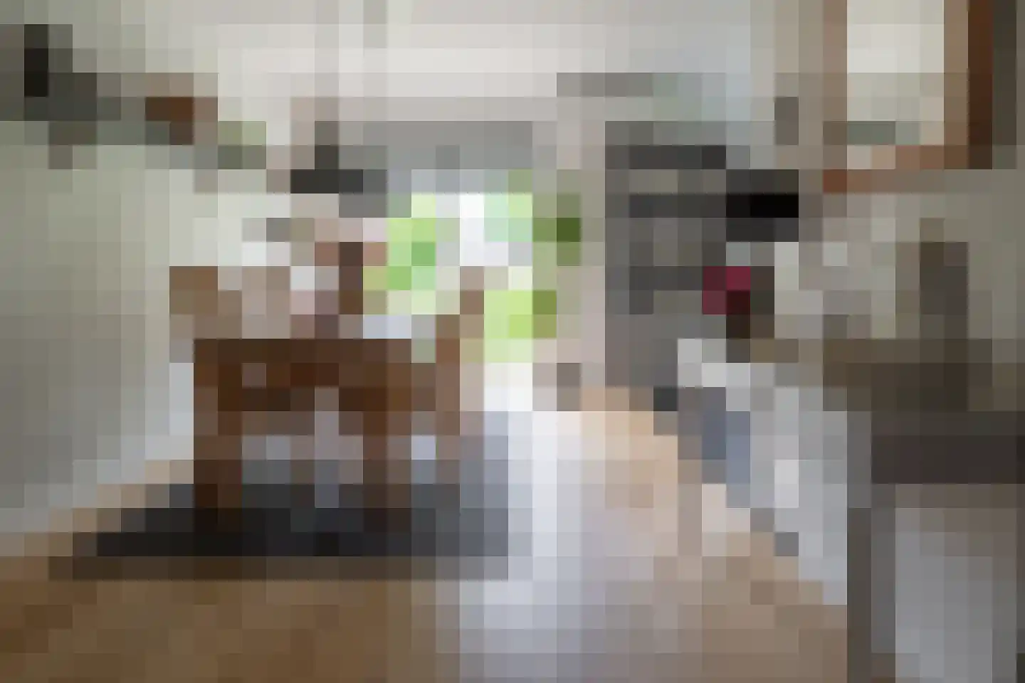 Welhaak 21 Vriezenveen thumbnail 17