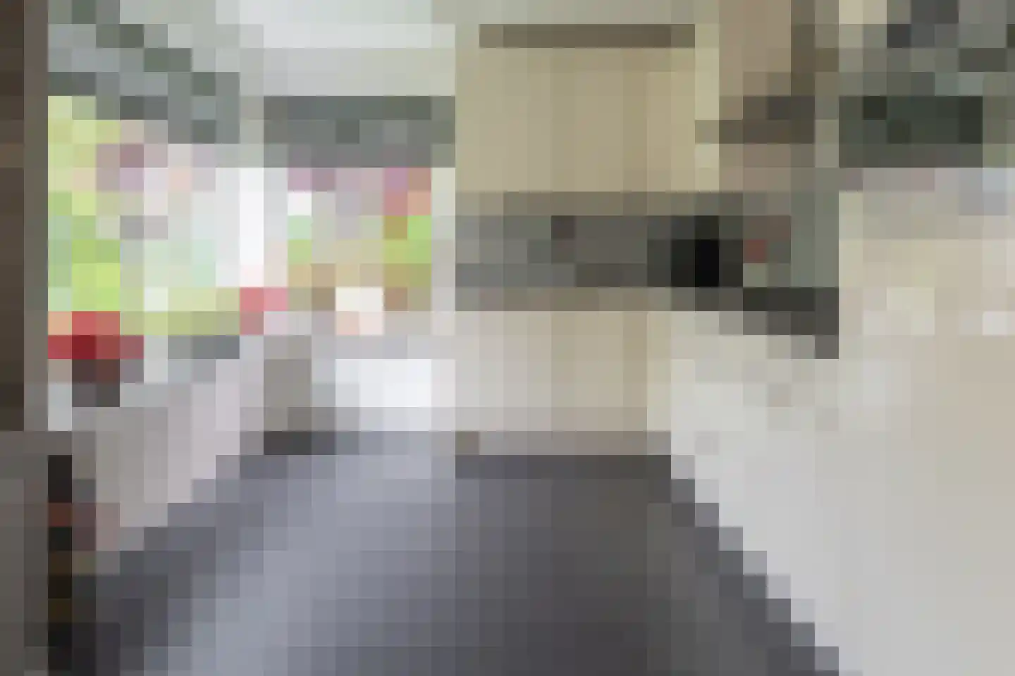 Welhaak 21 Vriezenveen thumbnail 18