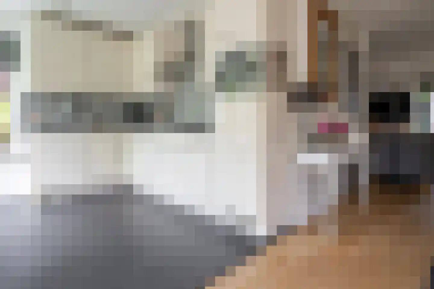 Welhaak 21 Vriezenveen thumbnail 24