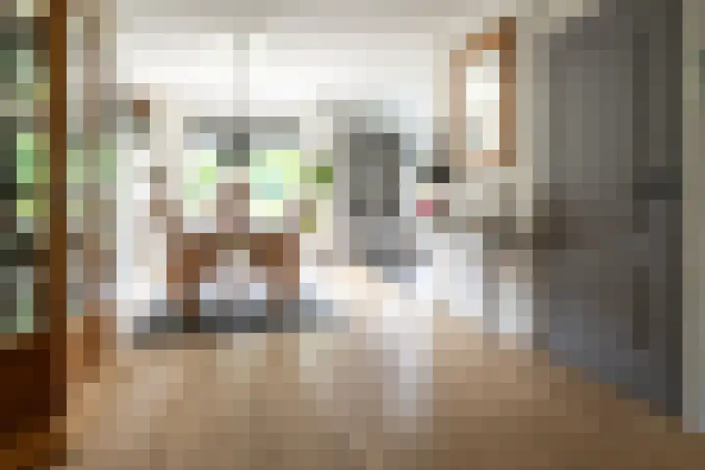 Welhaak 21 Vriezenveen thumbnail 25