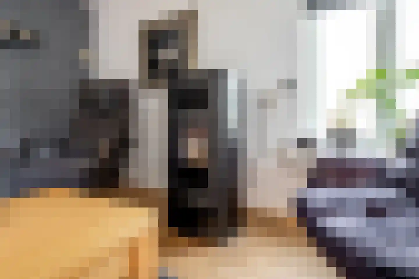 Welhaak 21 Vriezenveen thumbnail 29