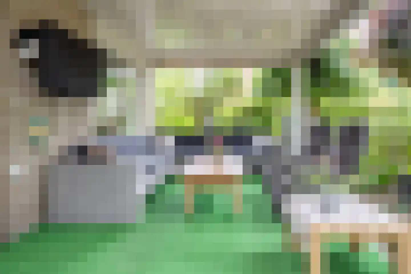 Welhaak 21 Vriezenveen thumbnail 33