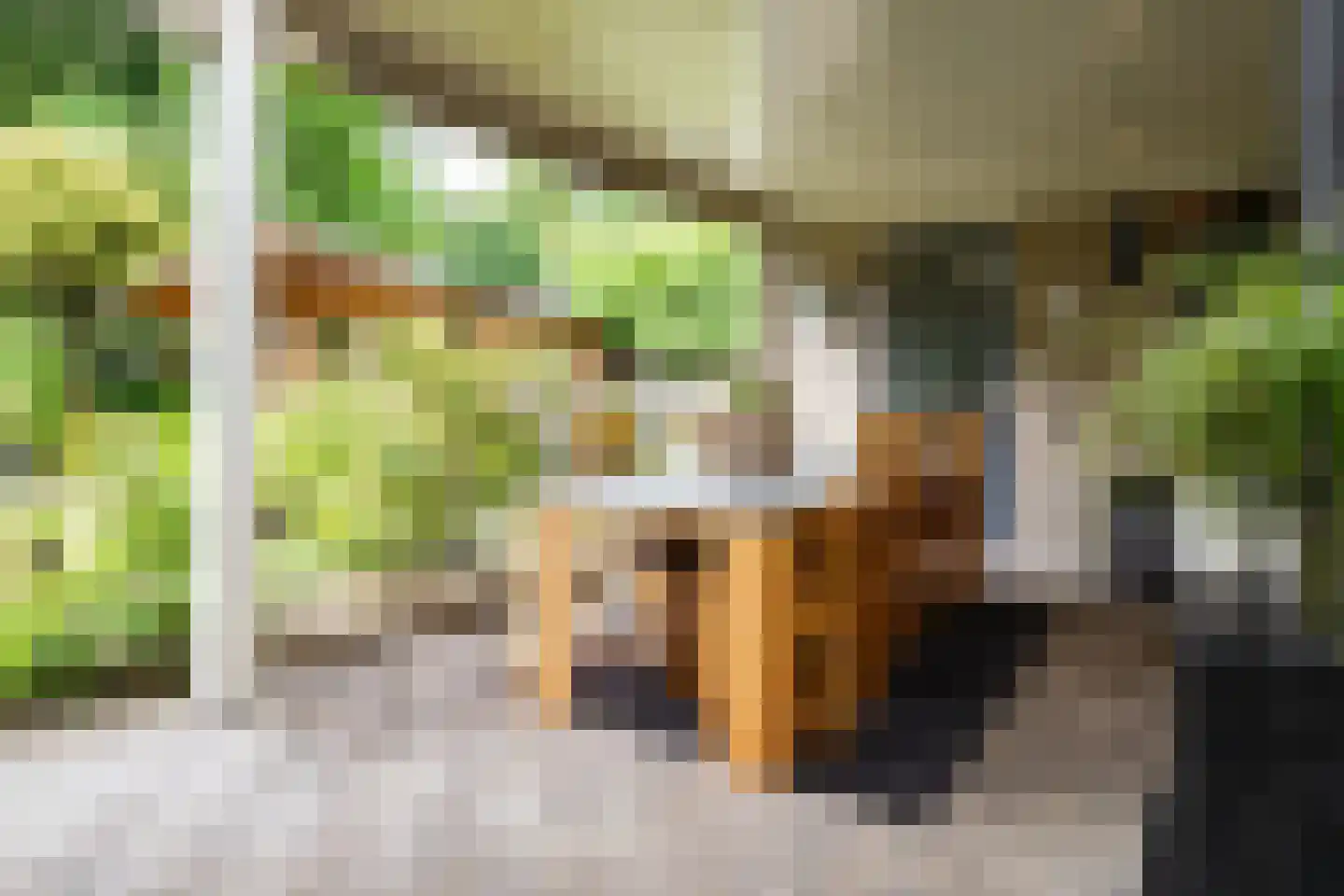 Welhaak 21 Vriezenveen thumbnail 35