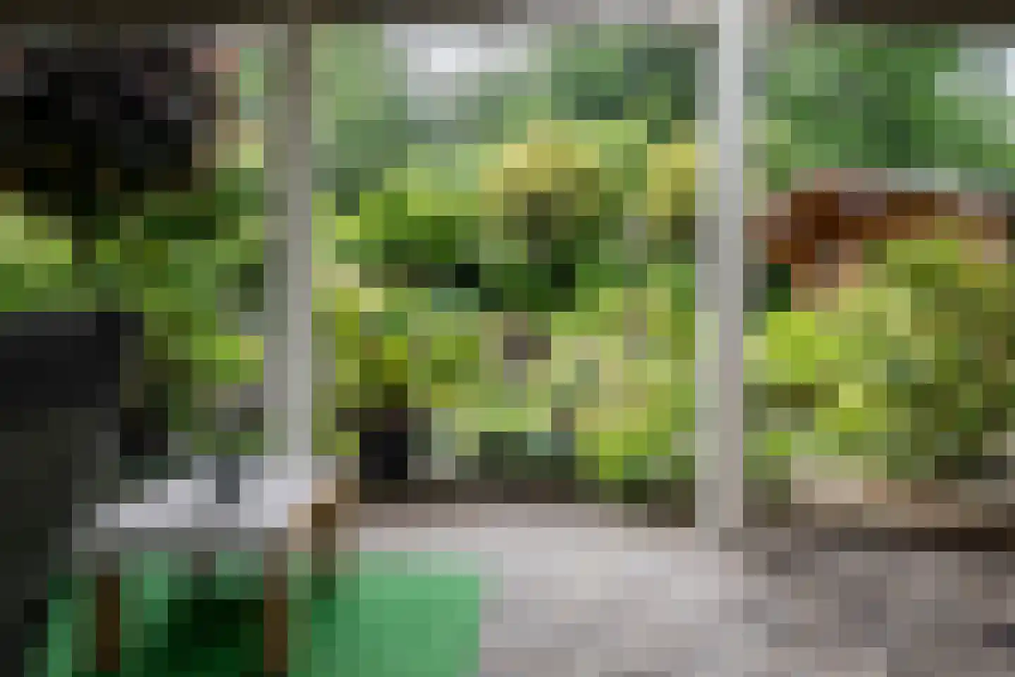 Welhaak 21 Vriezenveen thumbnail 36