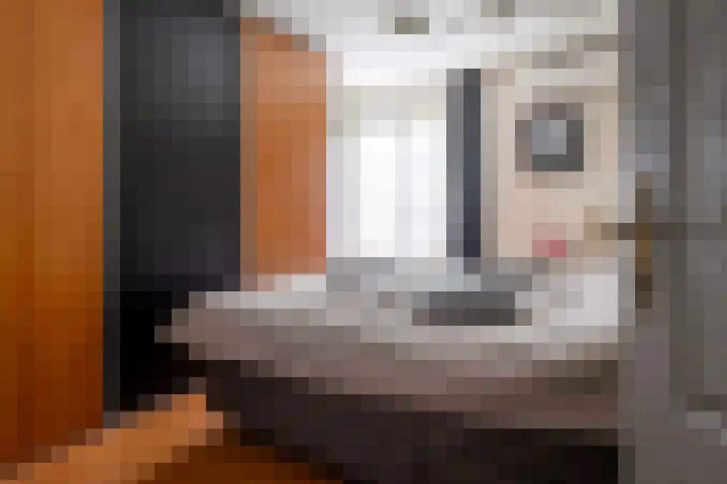 Welhaak 21 Vriezenveen thumbnail 4