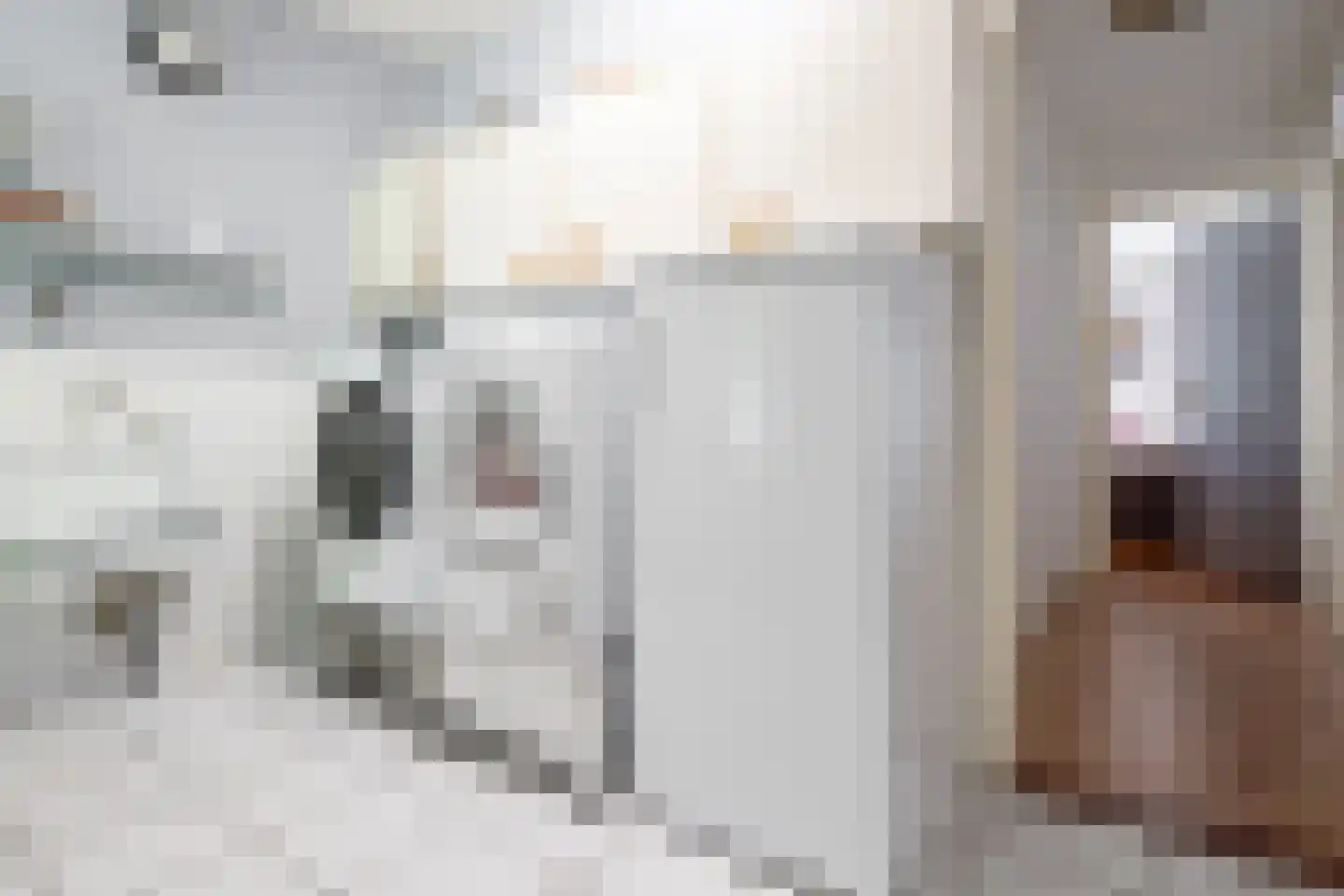 Welhaak 21 Vriezenveen thumbnail 41