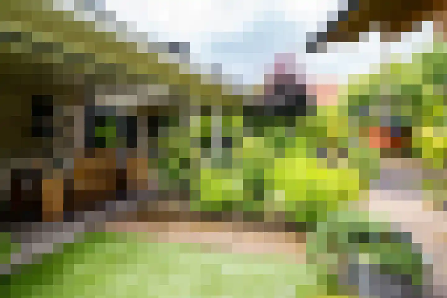 Welhaak 21 Vriezenveen thumbnail 50