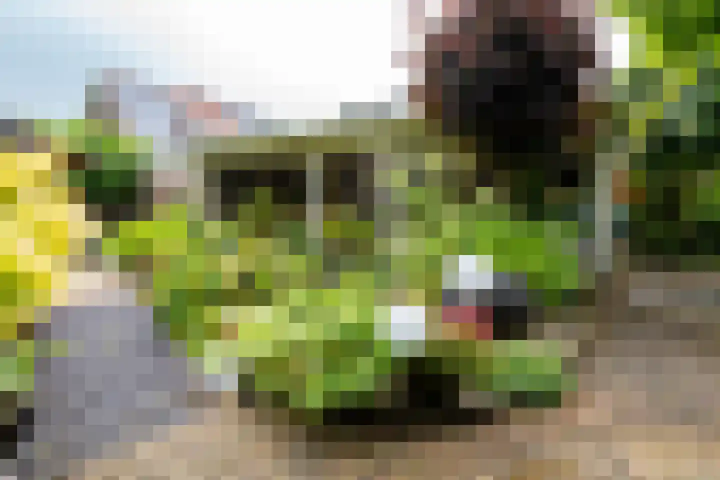 Welhaak 21 Vriezenveen thumbnail 51