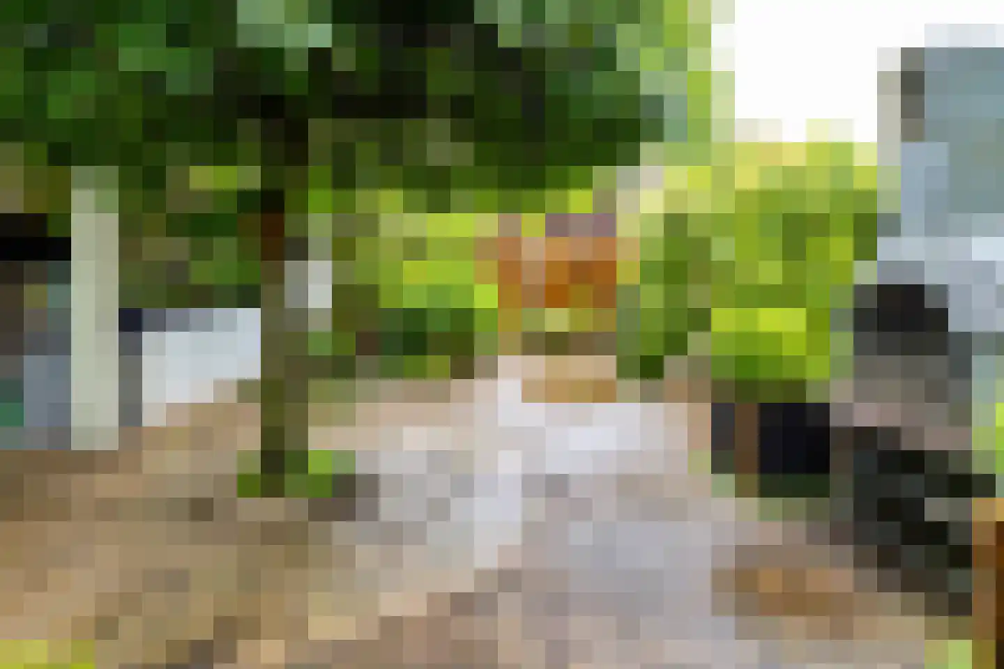 Welhaak 21 Vriezenveen thumbnail 52