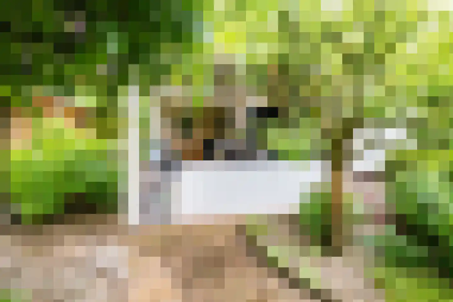 Welhaak 21 Vriezenveen thumbnail 53