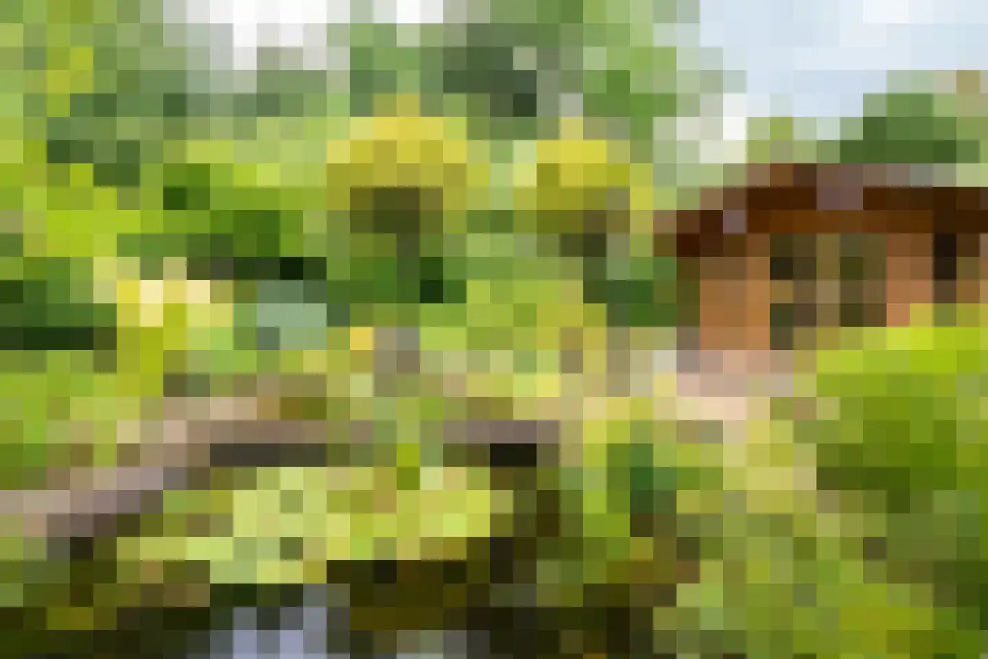 Welhaak 21 Vriezenveen thumbnail 54