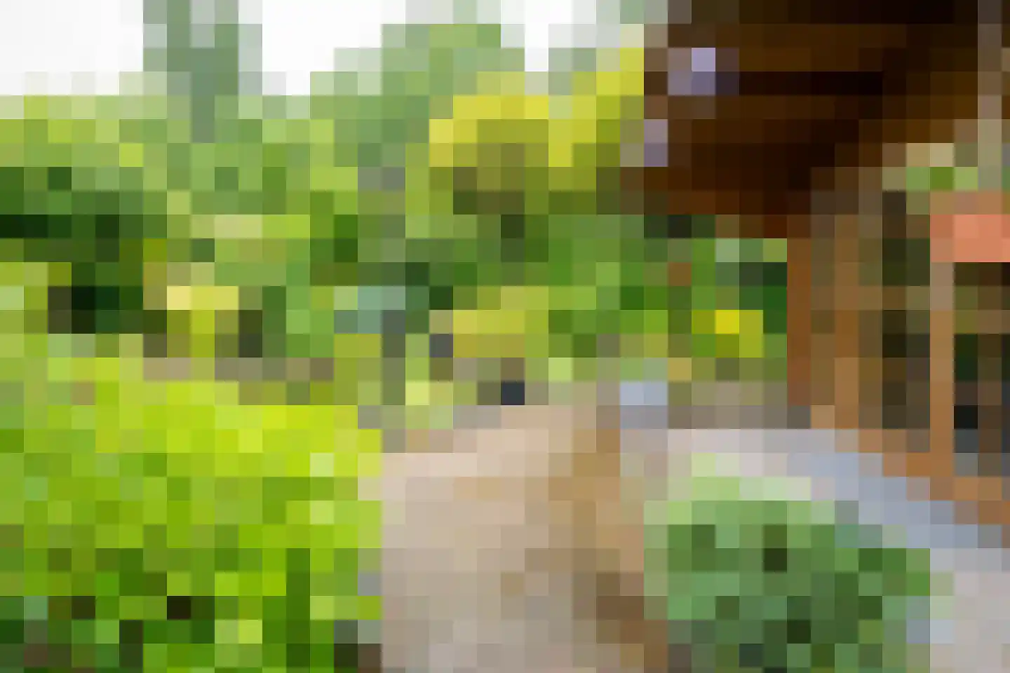 Welhaak 21 Vriezenveen thumbnail 55