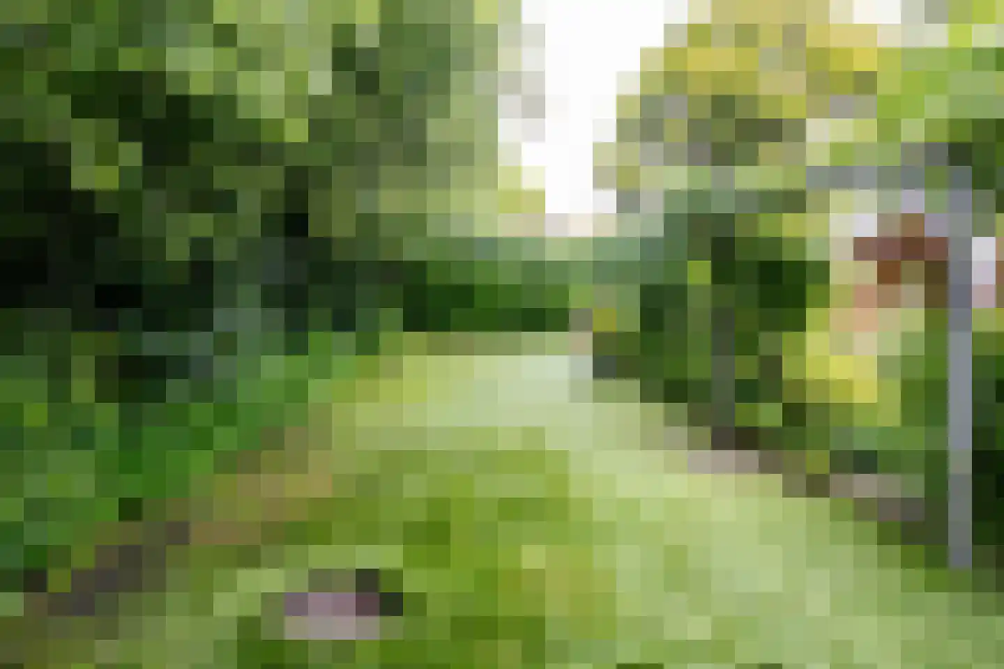 Welhaak 21 Vriezenveen thumbnail 56