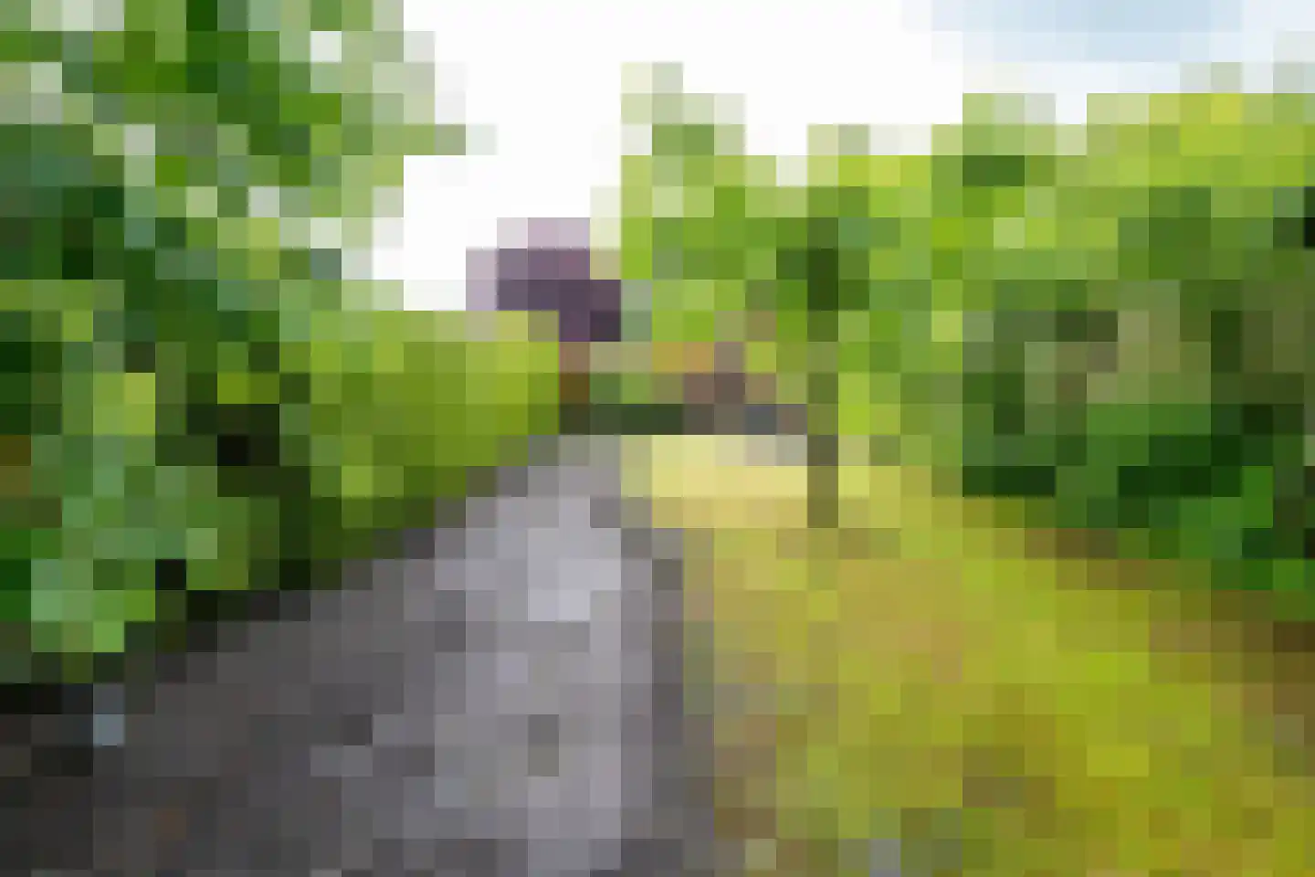 Welhaak 21 Vriezenveen thumbnail 57