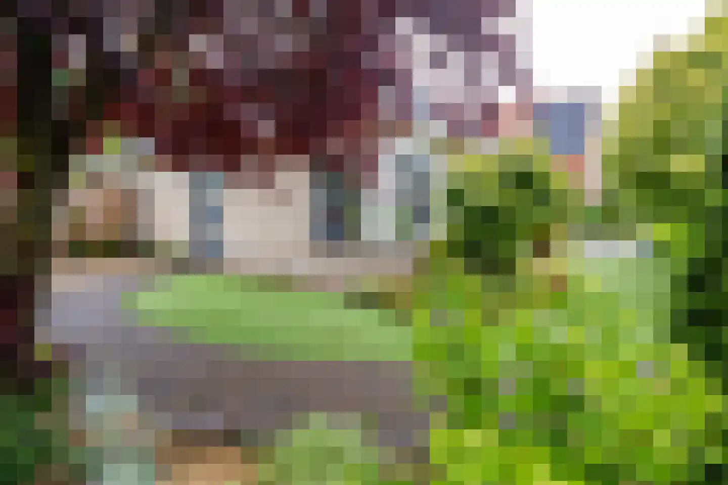 Welhaak 21 Vriezenveen thumbnail 58