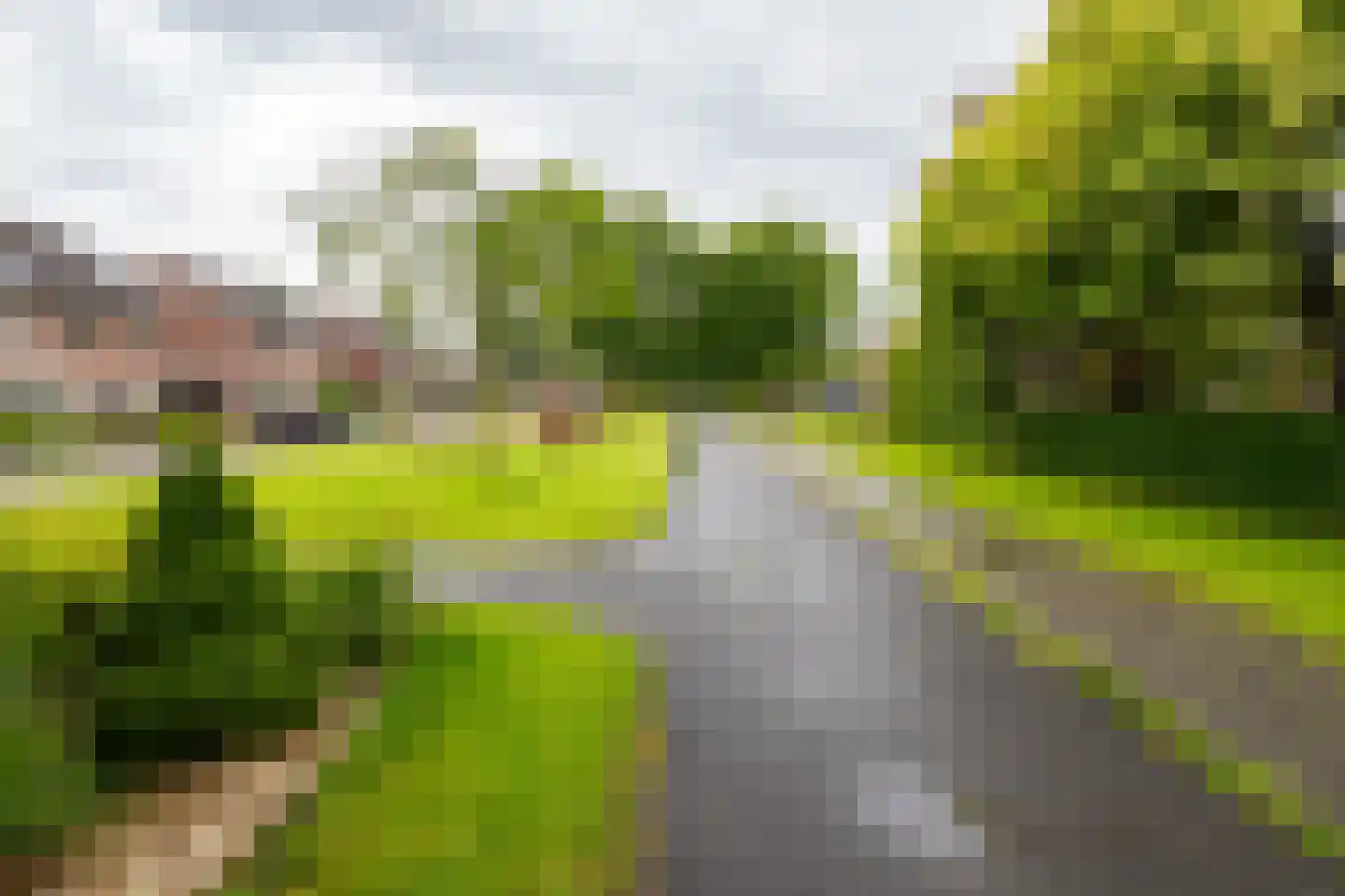Welhaak 21 Vriezenveen thumbnail 62