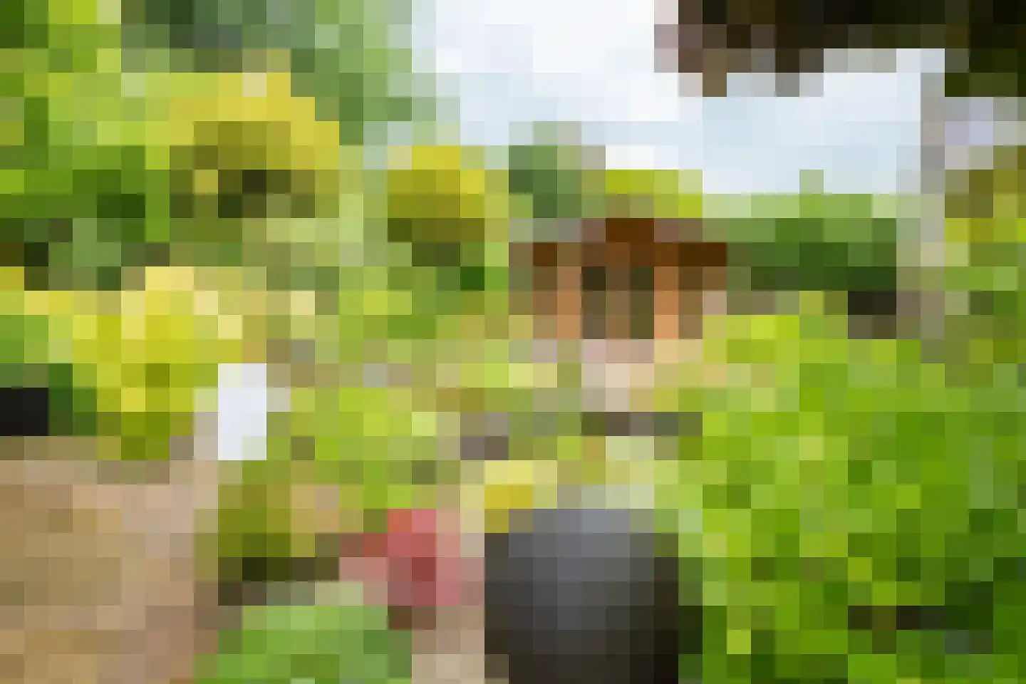 Welhaak 21 Vriezenveen thumbnail 7