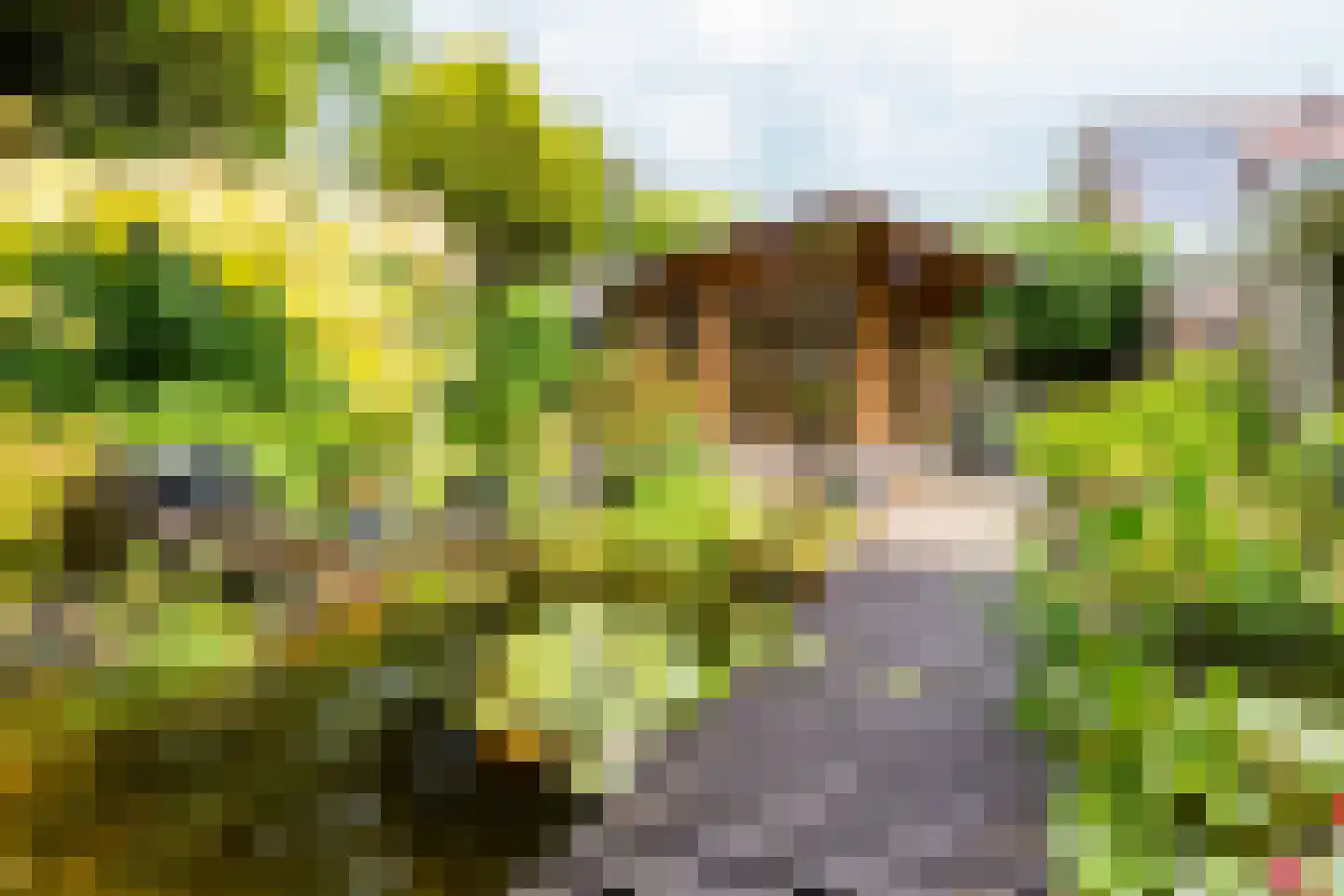 Welhaak 21 Vriezenveen thumbnail 8