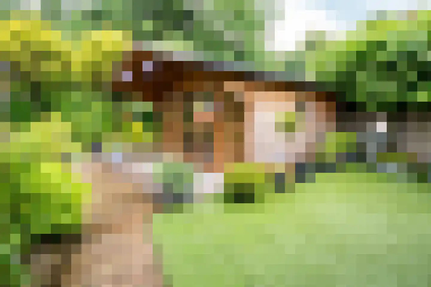 Welhaak 21 Vriezenveen thumbnail 9