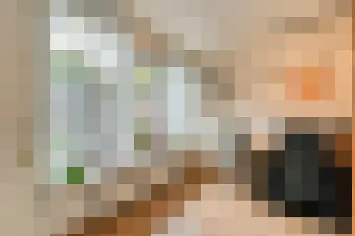 Welhaak 23 Zuidwolde thumbnail 15