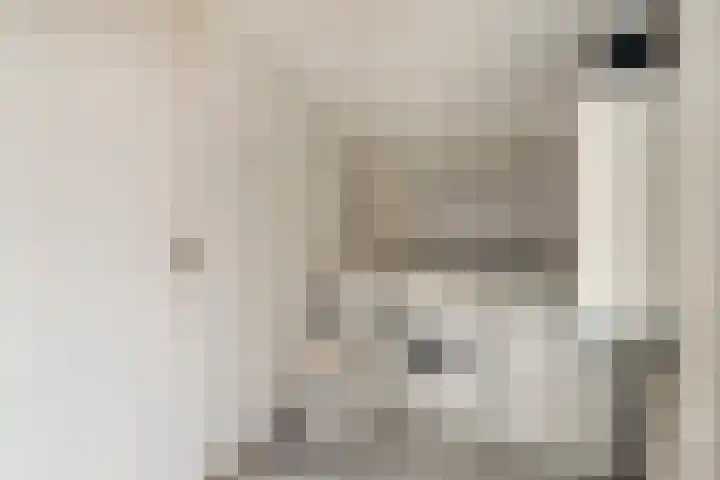 Welhaak 23 Zuidwolde thumbnail 16
