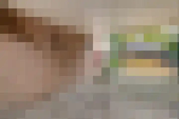Welhaak 23 Zuidwolde thumbnail 20