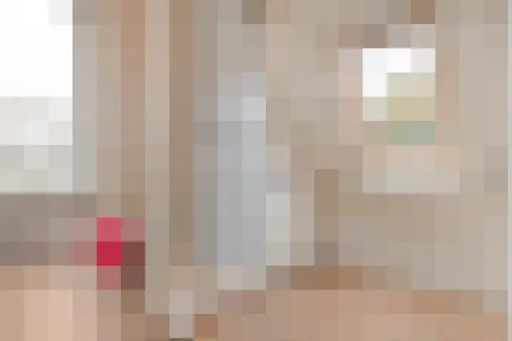 Welhaak 23 Zuidwolde thumbnail 25