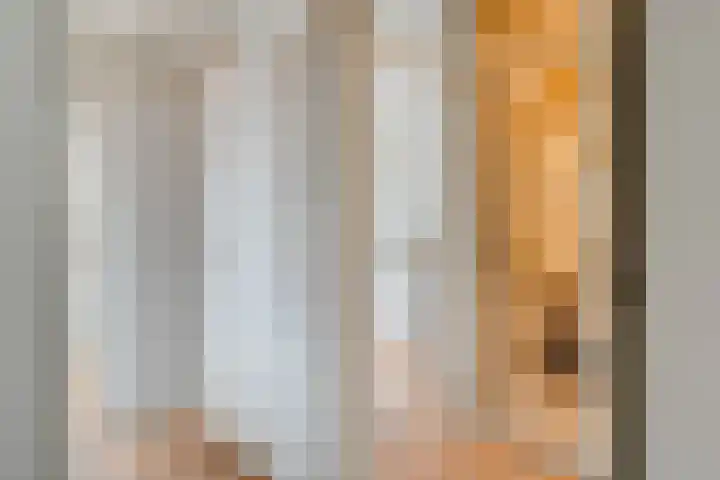 Welhaak 23 Zuidwolde thumbnail 29
