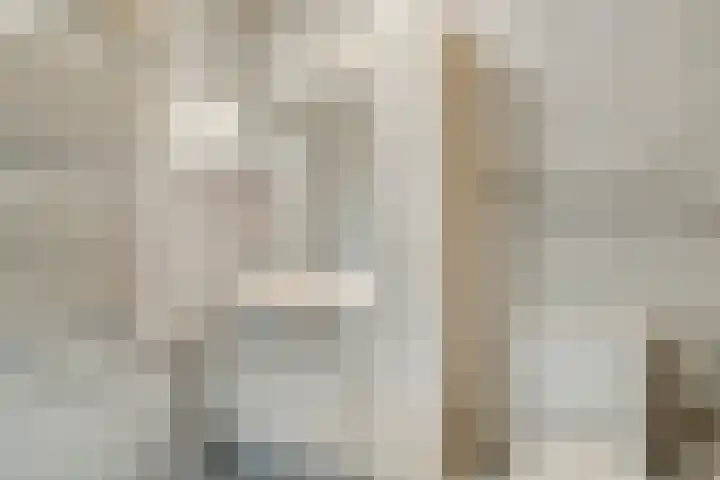 Welhaak 23 Zuidwolde thumbnail 30