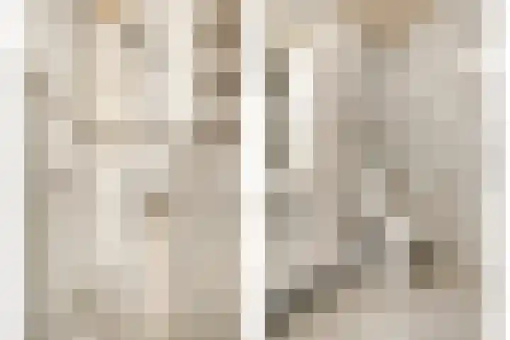 Welhaak 23 Zuidwolde thumbnail 31